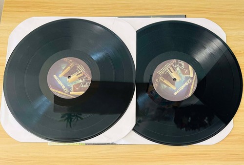 Zo! / Sunstorm 2011 US 2LP Vinyl The Foreign Exchange Music HBD LP ZO1 YahZarah - Picture 4 of 16