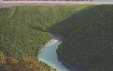 Beautiful Forested Cheat River Canton Morgantown West VA Linen Vintage Postcard