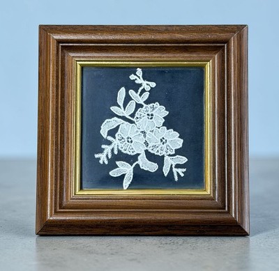 Antique Brussels Point de Gaze Needle Lace, 19th Century, Floral Pattern W/COA