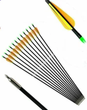 6Pcs 31'' Fiberglass Arrows Steel Field Tip Sp500 8mm For Recurve&Compound Bow