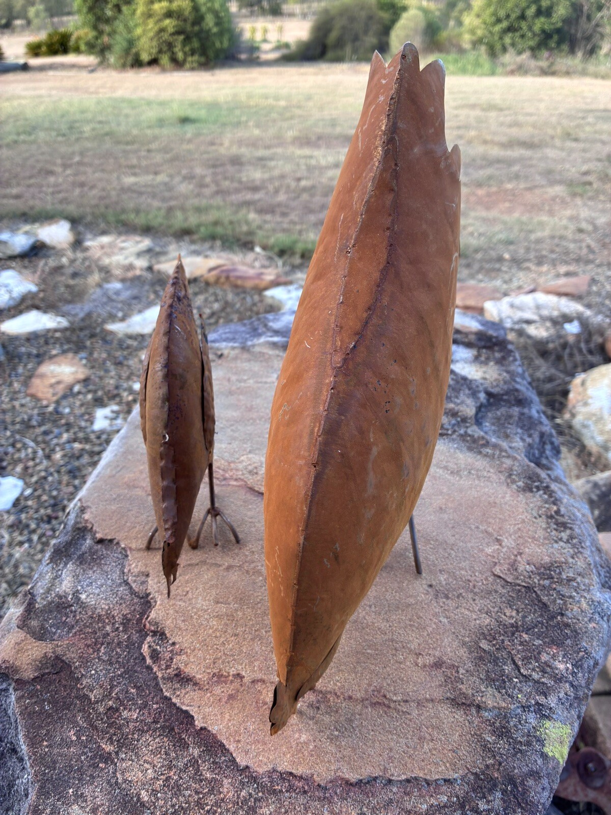 Picture 9 of 9