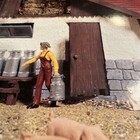 Picture 17 of 18