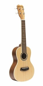 Concert traditionnel de l'île Ukulele avec le top de l ́épinette - SMC-4