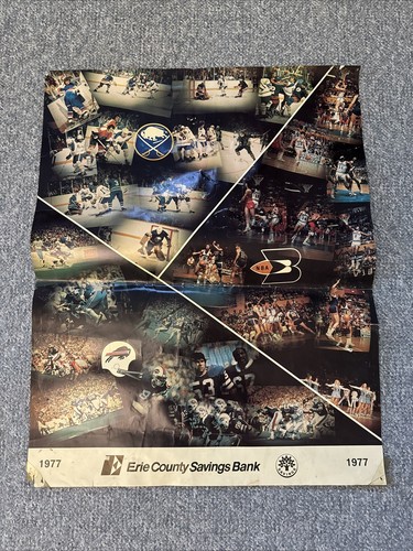 Vintage Buffalo Sabres Bills Braves Original 1977 Poster - NBA NFL NHL 22” x 28”