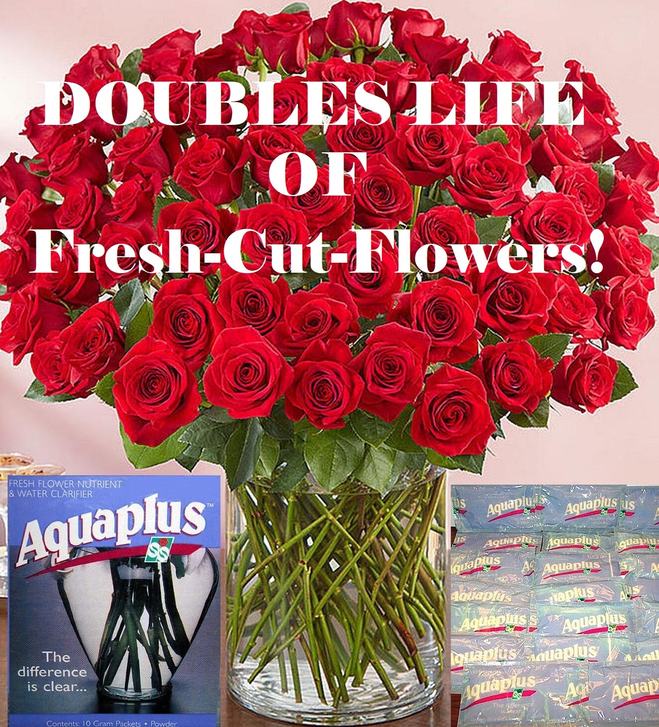 20 PKGS AQUAPLUS FRESH FLOWER NUTRIENT FOOD PRESERVATIVE Keeps flowers