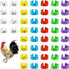 48 piezas de bandas para muslos de pollo de 16 mm numeradas