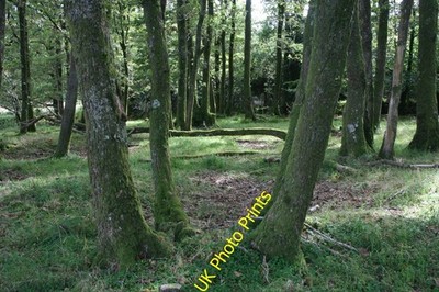 Photo A2 Croneybyrne area, County Wicklow Garryduff Cross Roads/T2092 F c2009
