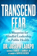 Transcend Fear: A Blueprint for Mindful Leadership in Public Health - GOOD
