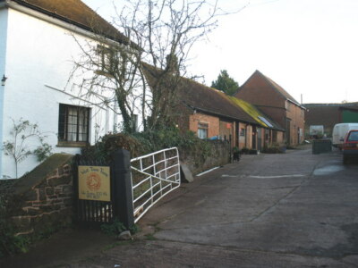 Photo 6x4 West Town Farm, Ide Specialising in organic vegetables. c2008