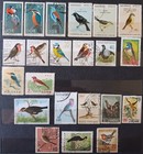 SONGBIRDS AND WOOD BIRDS. 82 STAMPS. XF (Extra Fine). LOT IN GERMANY — photo 5