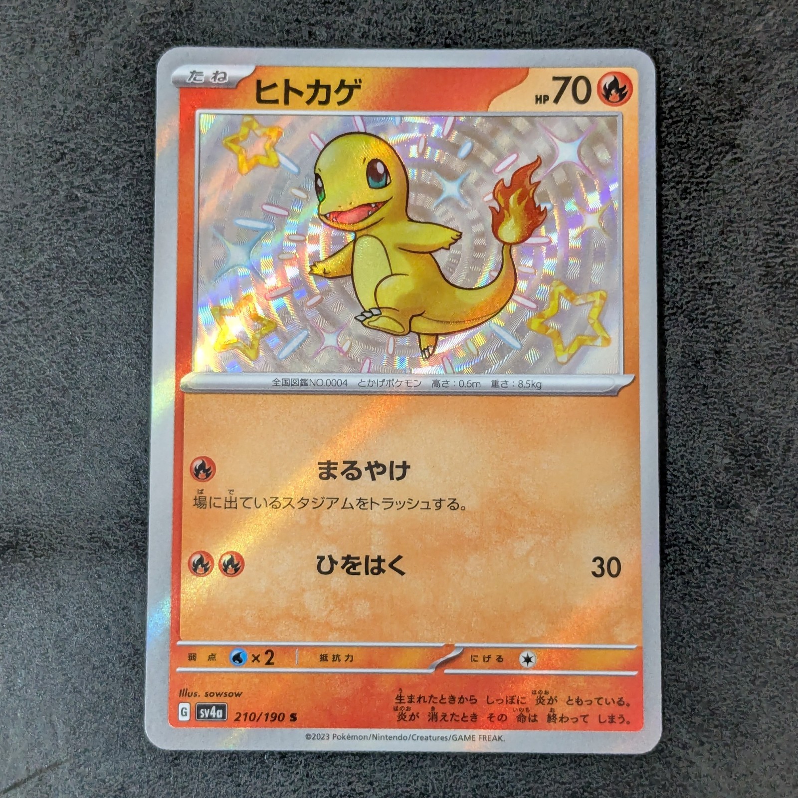 NM - Pokemon Card game TCG Charmander sv4a 210/190 S Holo Japanese