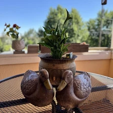 J C Higgins Life‑Like Mallard Hens Decoy Pair 1950s Paper Mache Sears 14.5"