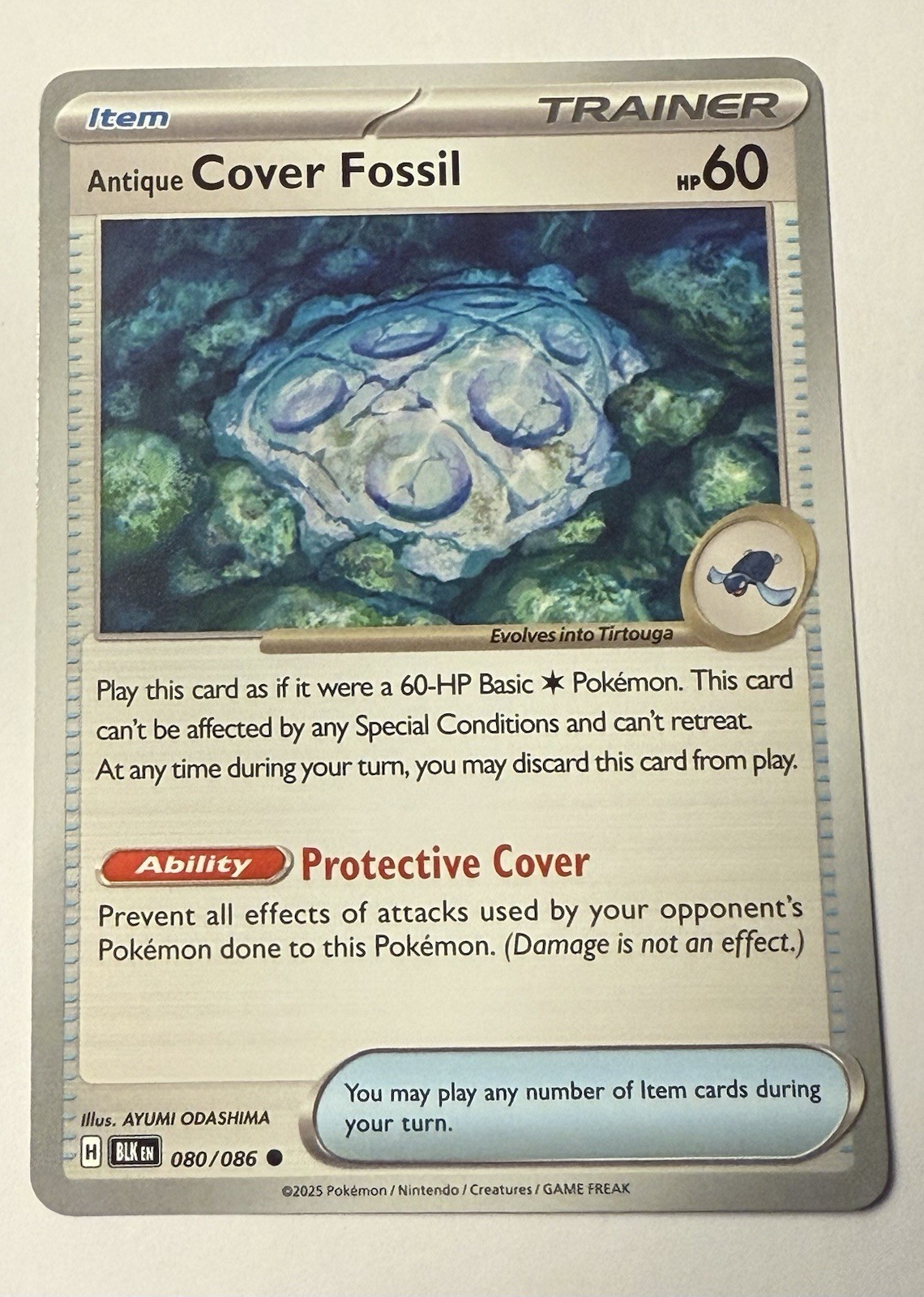 Antique Cover Fossil 80/086 | Near Mint | SV: Black Bolt Pokemon TCG
