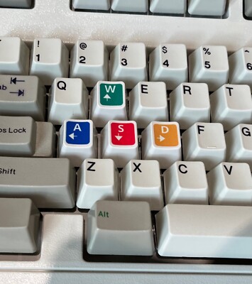 WASD Arrows Red Green Blue Yellow ibm Unicomp model m keys/keycaps (pearl)
