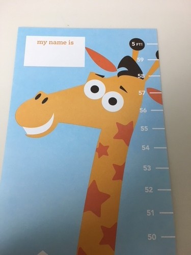 Geoffrey's Birthday Club Toddler Growth Chart W/ Stickers Toys R Us Babies R Us - Picture 2 of 8