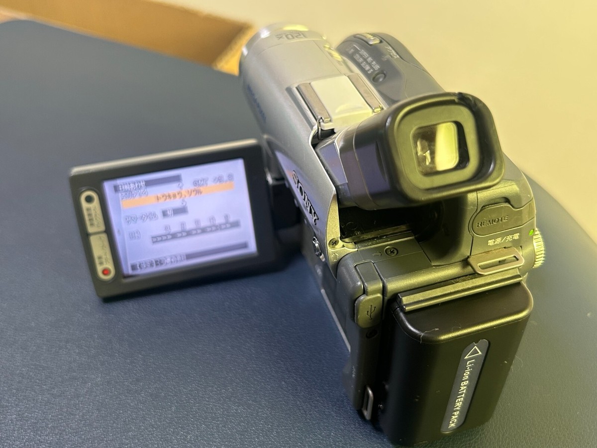 Sony Handycam DCR-DVD201 Digital Video Camera Recorder – For Parts