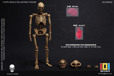101TOYS 1/12 Scale Skeleton NO.ES002 Original Version 6