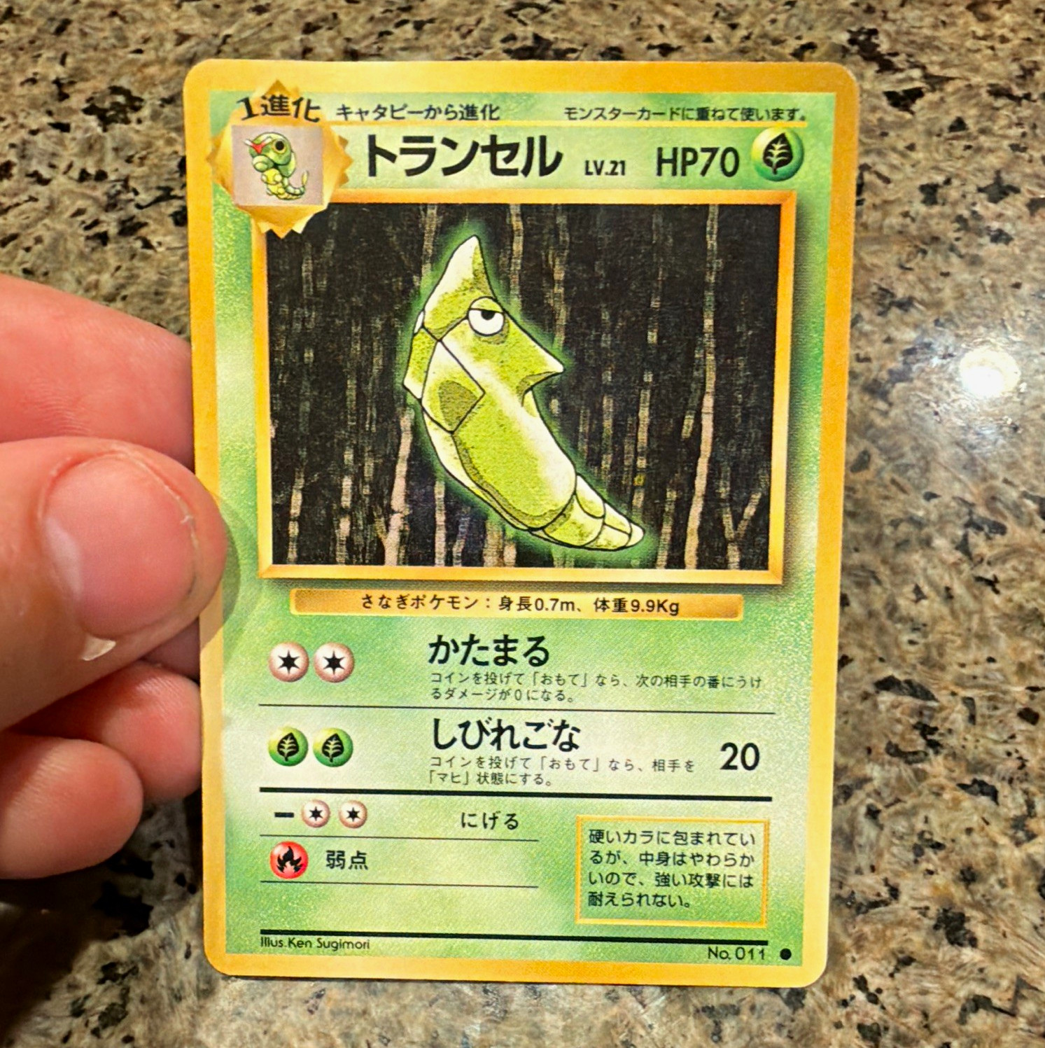 Pokemon TCG Metapod 011 Expansion Pack (No Rarity) 1st Ed JP 1996 Common HP70