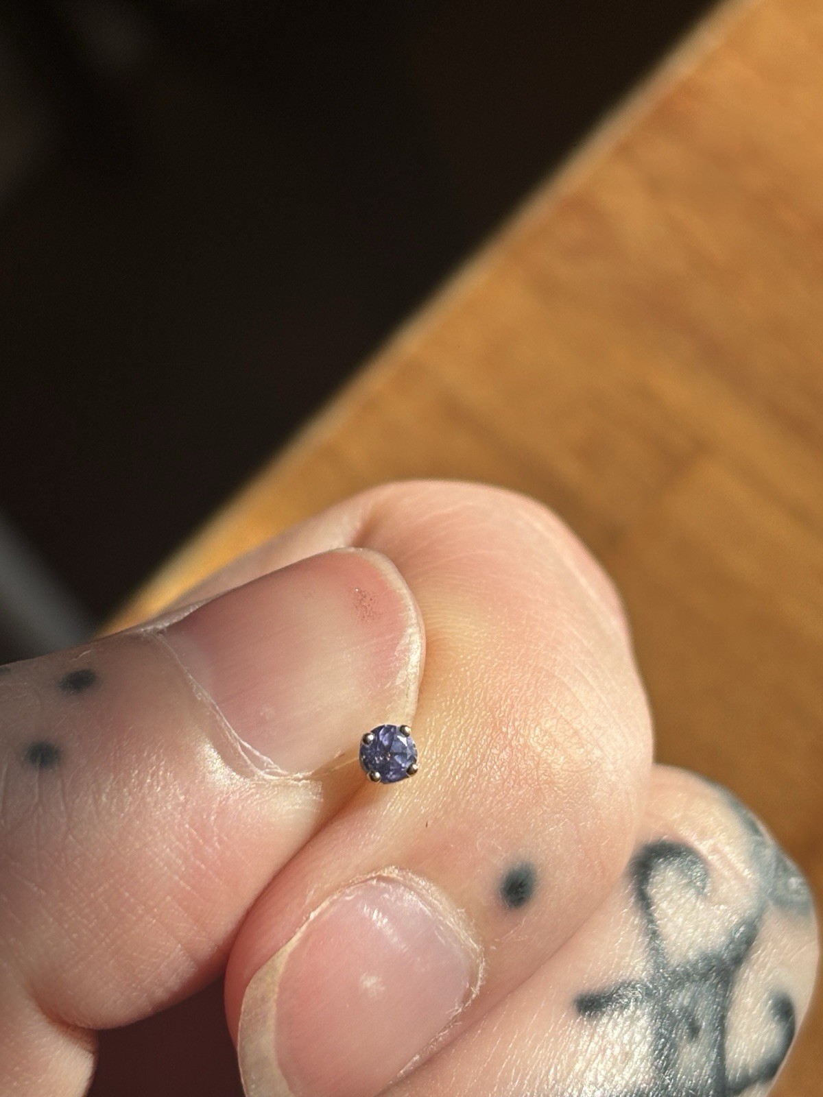 bvla bundle - image 4