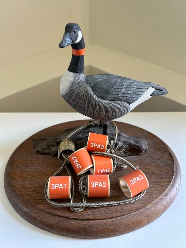 Canada Goose Figurine 7 1/2" Tall 9" Wide 7" Deep!