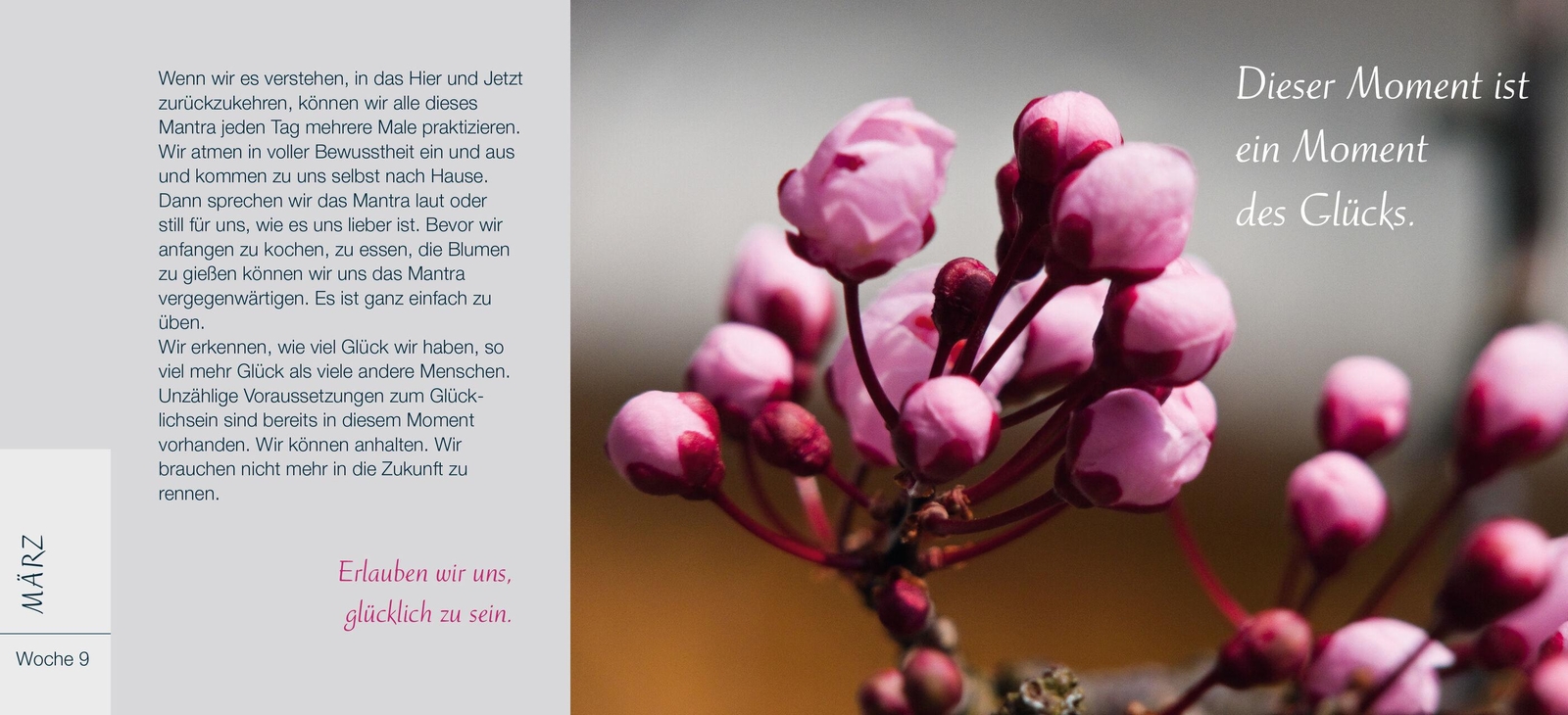 Thumbnail - Du Bist Ein Geschenk Für Die Welt Thich Nhat Hanh