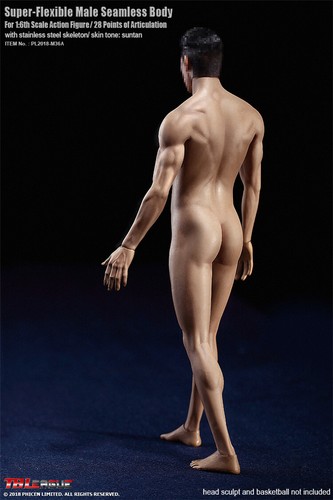 TBLeague Phicen M36A Super-Flexible Male Seamless Muscular Body Suntan 1/6 - Picture 4 of 8