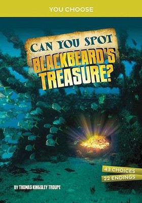 Can You Spot Blackbeard's Treasure: An Interactive Treasure Adventure by Thomas 