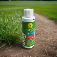 BugMD Ant Killer & Bug Spray Concentrate - Indoor Cockroach and Roach Killer,...