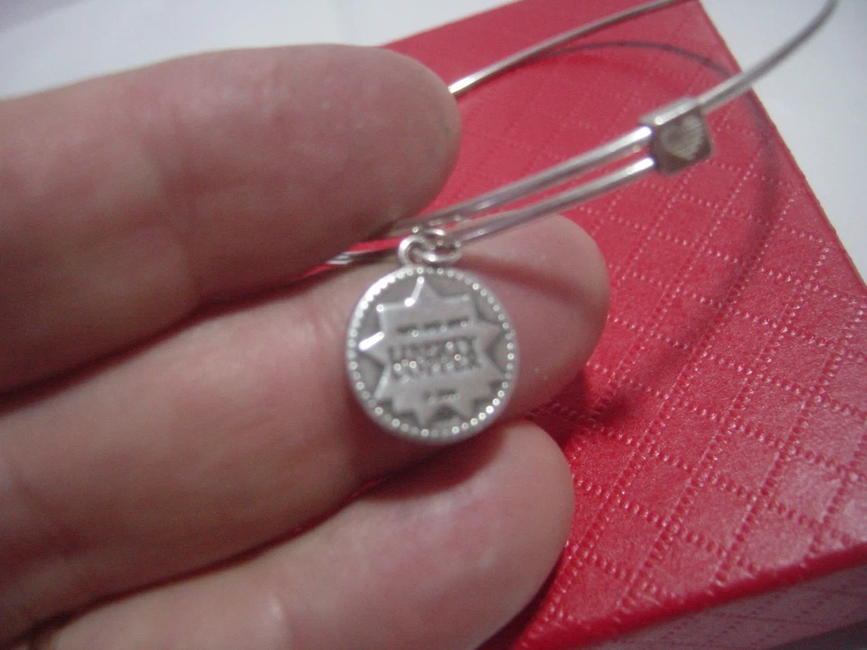 excelente pulseira de prata esterlina sólida - colecionável - alex e ani - luz de transporte - 6,5-8" - Imagem 4 de 4