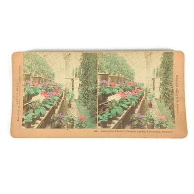 Among The Flowers Stereoview Botanic Garden 1890s Edinburgh Scotland 7''x3.5''
