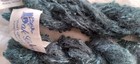 Bild 5 von 6