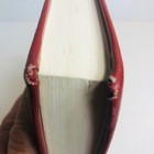 Foto 13 di 16