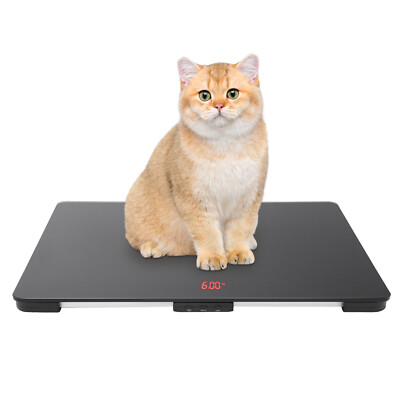 Pet Store Hospital Scale Large Dog Weighing Scale 100KG LCD Scale High Precision