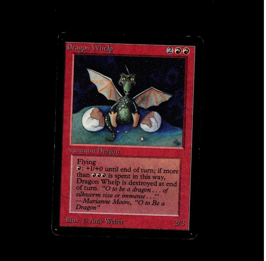Magic the Gathering - DRAGON WHELP Beta MTG