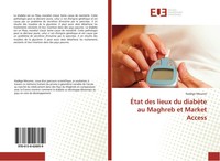 NadèGe Mounier | ÉTat Des Lieux Du DiabèTe Au Maghreb Et Market Access | Buch