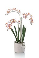 Artplants KüNstliche Orchidee Blani Im Keramiktopf, Weiß-Pink-Gelb, 55Cm