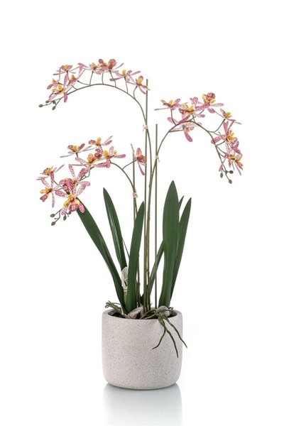 Artplants KüNstliche Orchidee Blani Im Keramiktopf, Weiß-Pink-Gelb, 55Cm-image