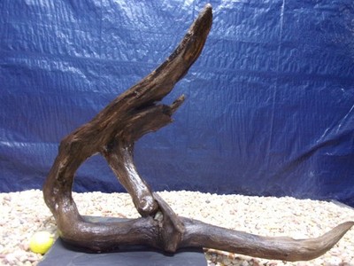 X-Large Driftwood Mounted on Slate 18''x28''x12'' Aquarium Reptile Natural Art