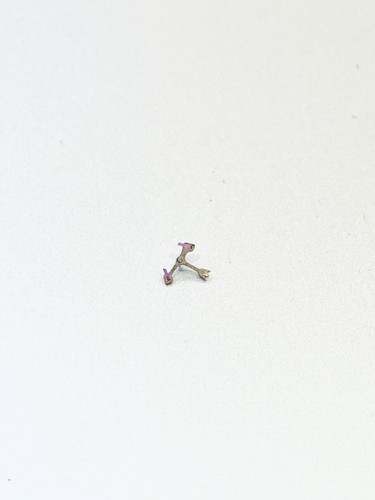 Seiko 2517 b ancorina acre pallet fork - Foto 1 di 2