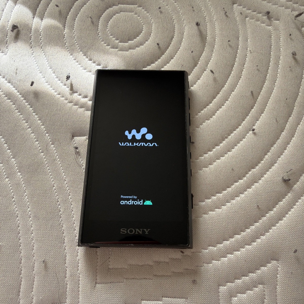 Sony Nw-a306 Walkman 32gb Hi-res Portable Digital Music Player
