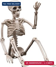 Halloween Skeleton Decorations - 16inch Plastic Full Body Posable Skeleton, Smal