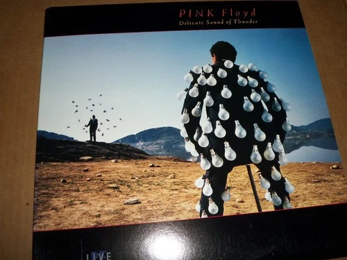 PINK FLOYD - DELICATE SOUND OF THUNDER - DOUBLE VINYL LP