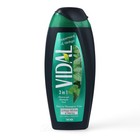 Vidal Peppermint & Ginkgo Duschgel & Shampoo for men 250 ml Herrendusche