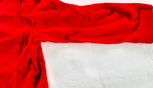 Okie Dokie Boys T-Shirt Red Soccer Long Sleeve 24 Months - 第 12/12 張圖片