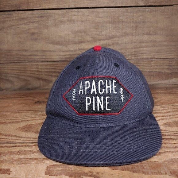Apache Pine Grey Snapback Hat - image 1
