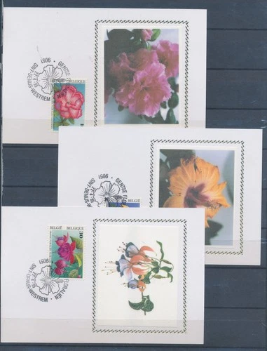 XE59675 Belgium 1995 flowers nature maxicards used