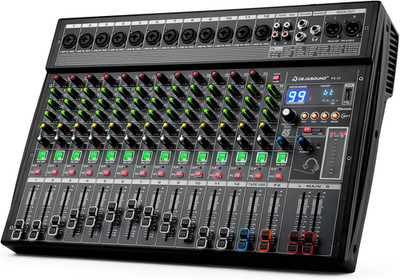 12-Channel Professional Audio Mixer, Fx-12Usb Mixing Console with XLR Inputs