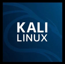 Kali Linux 2025 32 GB PNY USB - Ethical Hacking - Cybersecurity - Pen Test Tools