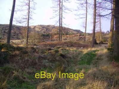 Photo 6x4 Broughton Moor Forest Rosthwaite/SD2490 Extensive felling alon c2007