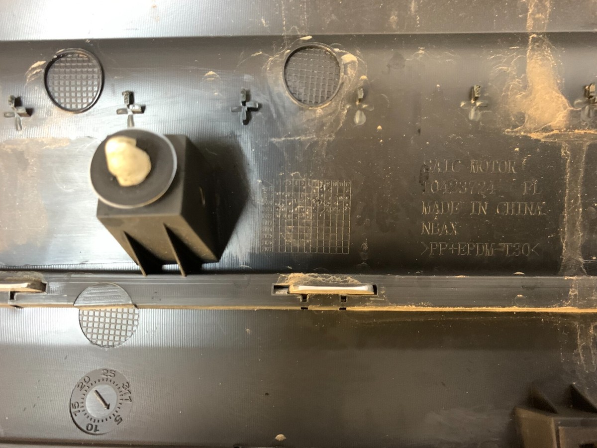2023 MG HS ~ NSF Passenger Left ~ Front Door Moulding Trim 